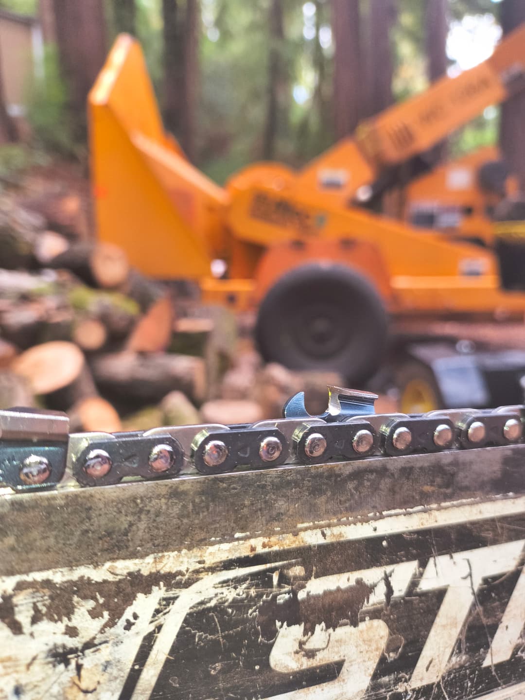 Close-up of professional chainsaw chain with orange wood chipper and cut logs in background