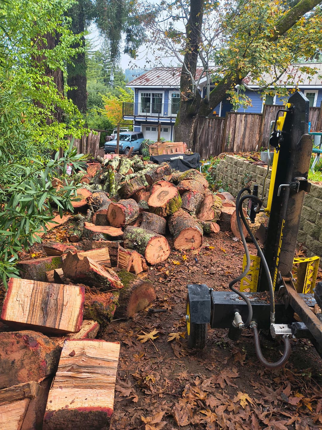 Log splitter processing large tree trunk rounds in residential backyard tree removal cleanup
