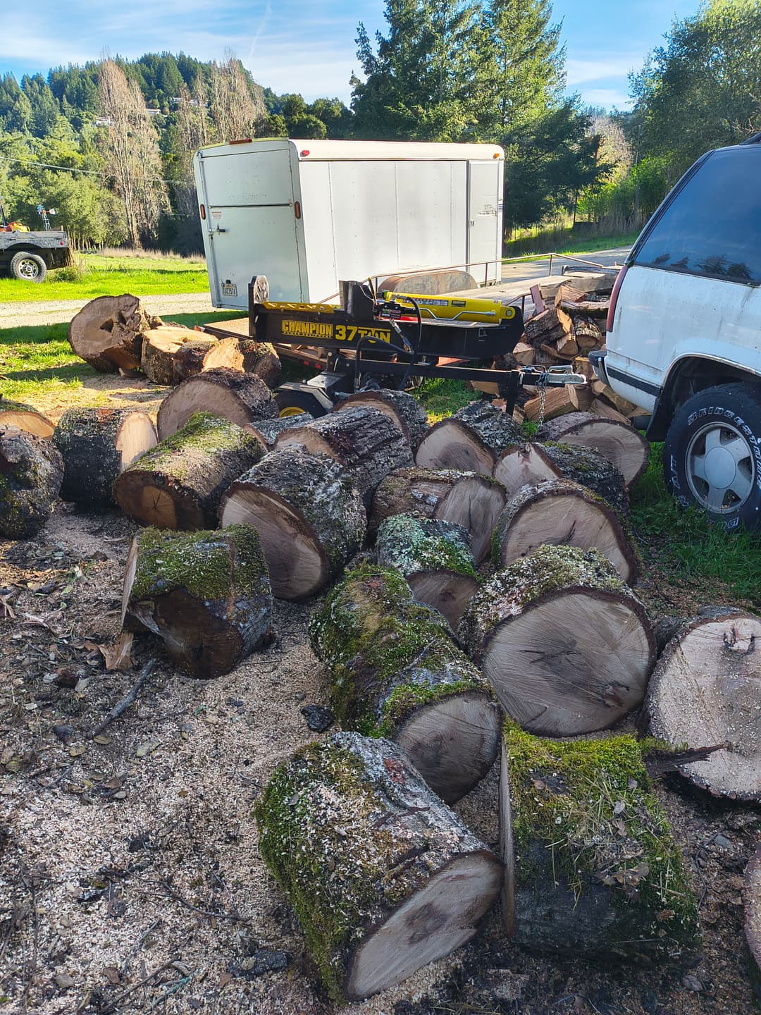 Log splitter next to large moss-covered tree rounds at rural property in Santa Cruz Mountains CA