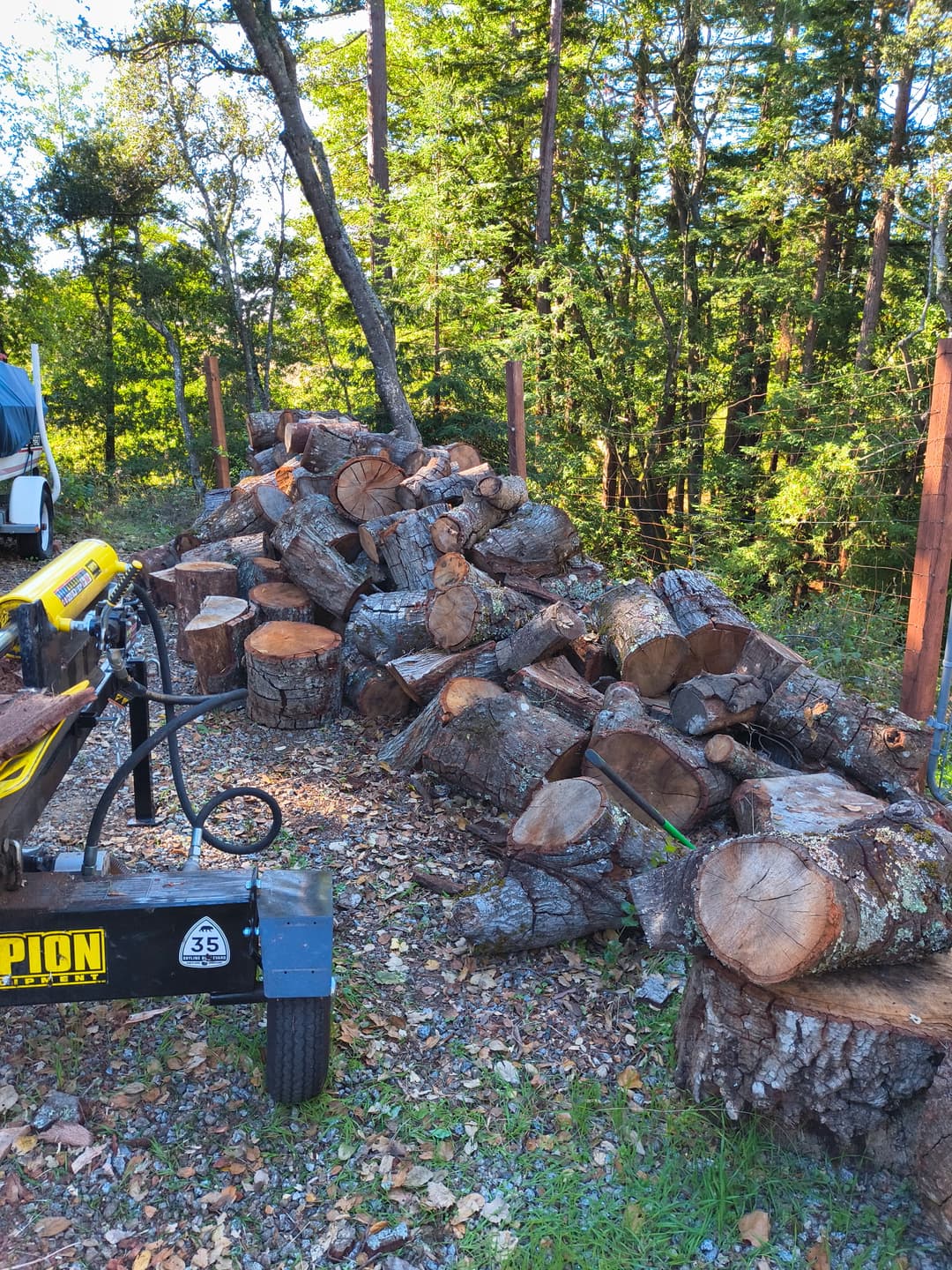 Log splitter and pile of large tree rounds in redwood forest during firewood processing service