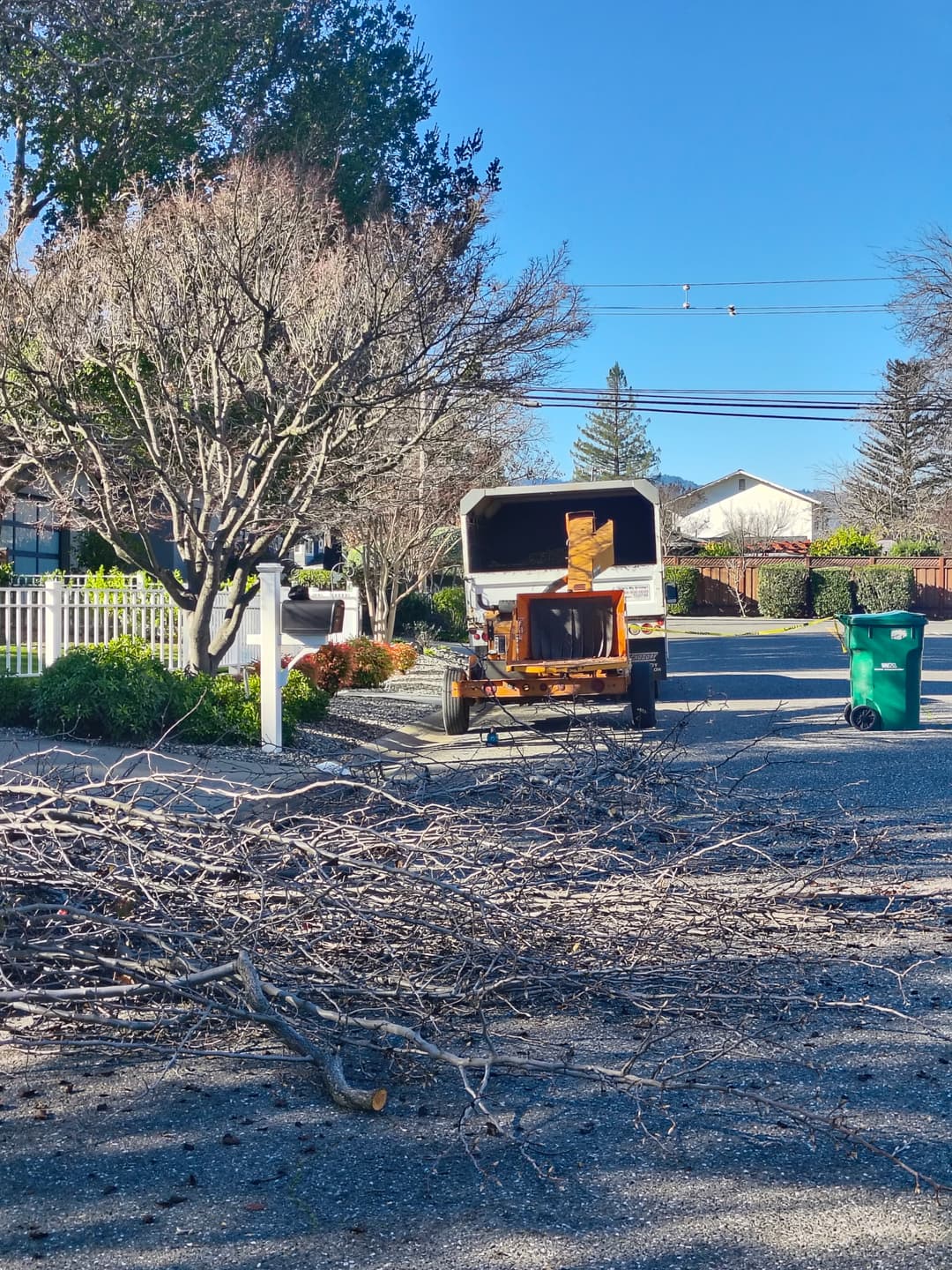 Silver Maple tree service wood chipper parked on residential street with cut branches on ground in Santa Cruz Mountains