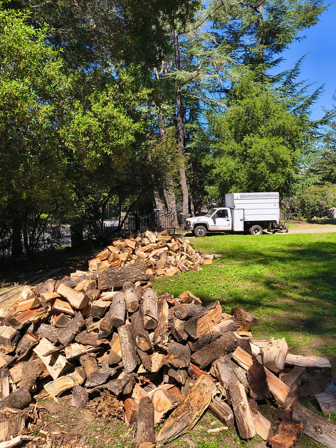 Pile of split firewood logs next to Silver Maple service truck on residential property