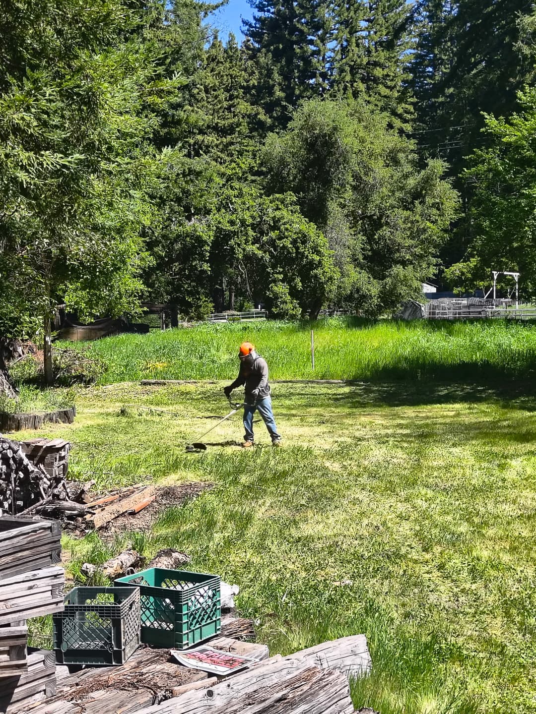 Tree service crew member mowing large green field during yard maintenance in Santa Cruz Mountains