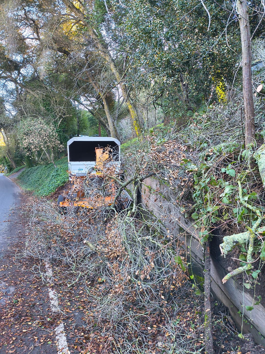 Wood chipper processing tree branches on narrow residential road during tree trimming service