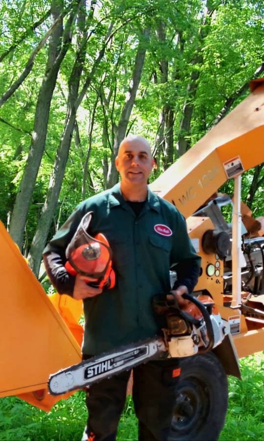 Silver Maple Tree Service Santa Cruz Mountains, CA